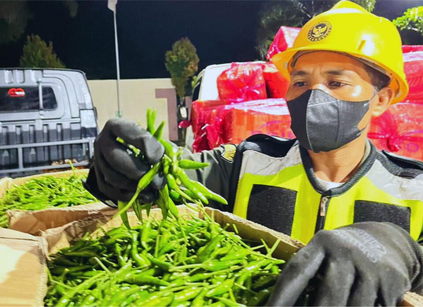 Produksi Cabai NTB Kian Meningkat, Penuhi Kebutuhan Lokal dan Jaga Ketersediaan Pangan Nasional