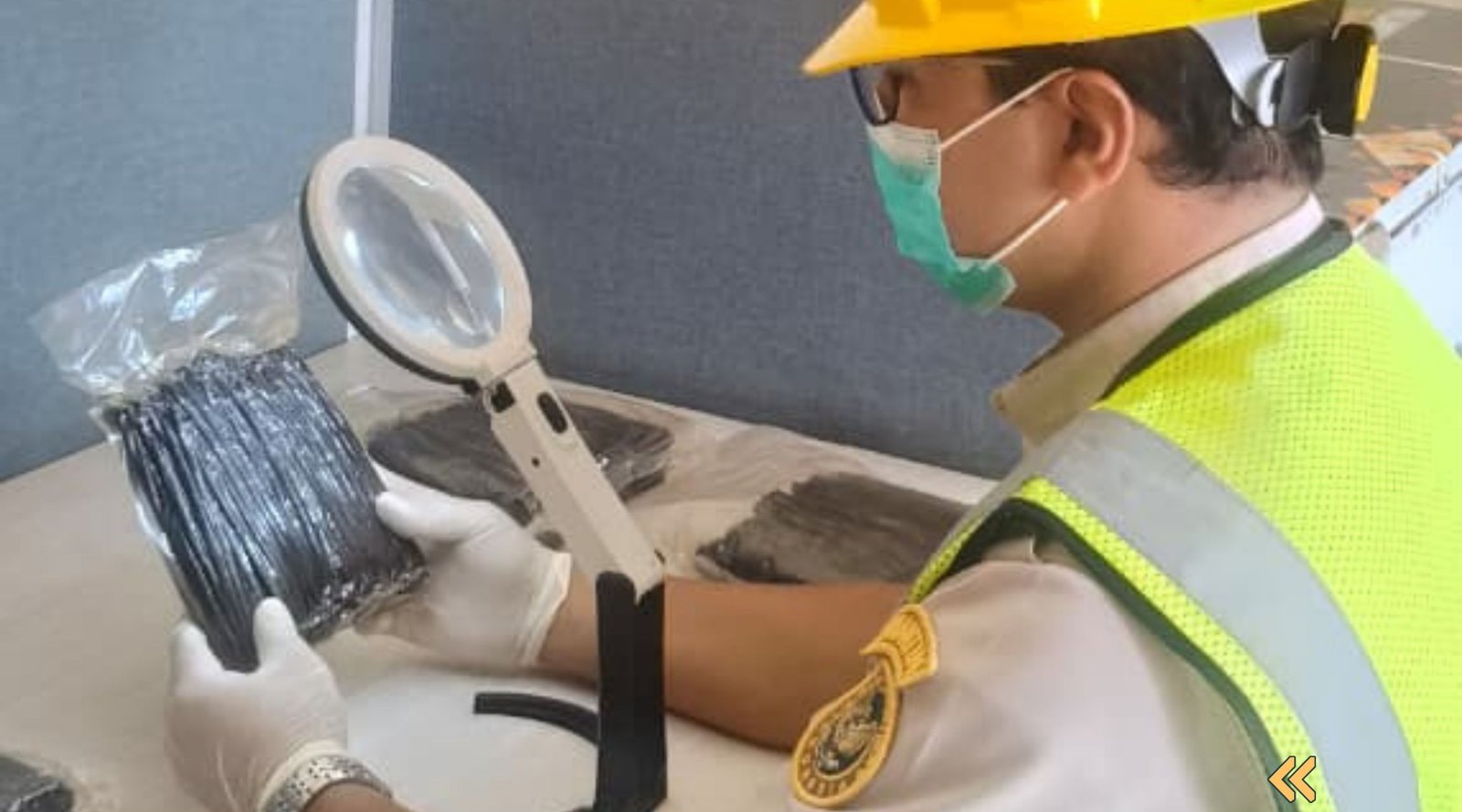 Karantina NTB Mendukung Vanili Organik Lombok Mendunia